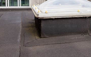 disadvantages of Water Yeat flat roofs